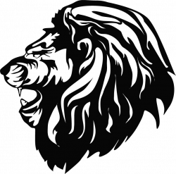 Check out my @Behance project: “lion vector” https://www.behance.net ...