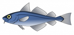 Fish | Free Stock Photo | Illustration of a blue codfish | # 10674