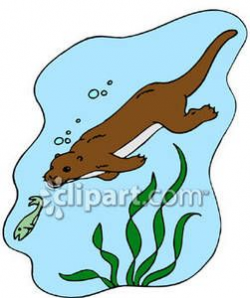 Sea Otter Swimming Cartoon Clipart - Free Clip Art Images ...