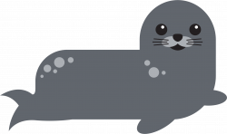 Clipart - Harbor Seal 2