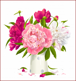 19 Ideas of Peony Flowers Clipart - Beautiful Flowers for Garden
