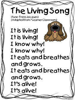 Living And Nonliving Things Worksheet For Kindergarten - Criabooks ...