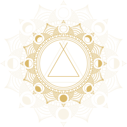 Tribe Design Montana — TRIBE DESIGN