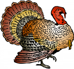 Colorful Turkey Clipart | Clipart Panda - Free Clipart Images