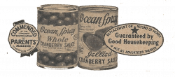 Sweet Magnolias Farm: Vintage Cranberry Recipes and Ocean Spray Clip ...