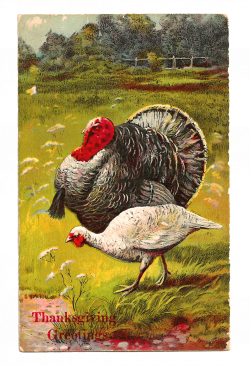Antique Images: Printable Thanksgiving Greeting with Turkey Digital ...