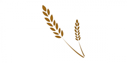 Free Wheat Vector, Download Free Clip Art, Free Clip Art on ...