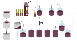 Winemaking Process | RJS Craft Winemaking