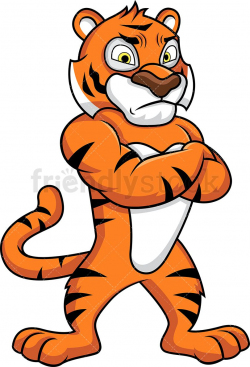 Tiger Mascot Looking Angry | Lion logo, Clip art, Cartoon