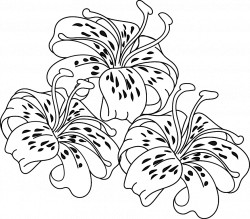 day+lily+clip+art | Gallery For > Tiger Lilies Flowers Drawing ...