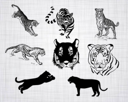 Tiger SVG Bundle, Tiger SVG, Tiger Clipart, Tiger Cut Files For Silhouette,  Tiger Files for Cricut, Tiger Vector, Svg, Dxf, Png, Eps, Design