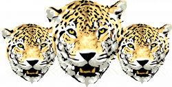 Jaguar Amur leopard Cheetah Clip art - Three tigers 1280*651 ...