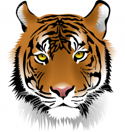 OnlineLabels Clip Art - Tiger Face