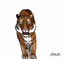 28+ Collection of Mad Tiger Drawing | High quality, free cliparts ...