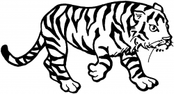Free Printable Coloring Pages Of Tigers | High Quality ...