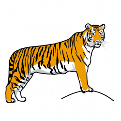 Cartoon Tiger Clipart Imges Free - Clipart1001 - Free Cliparts