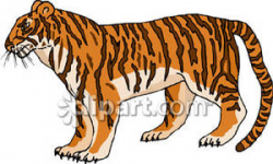 Side View of A Realistic Tiger - Royalty Free Clipart Picture