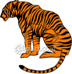Side View of a Sitting Bengal Tiger - Royalty Free Clipart ...