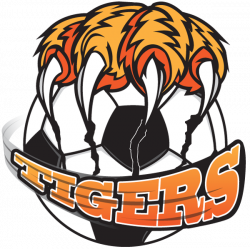 Tiger design logo png - crazywidow.info