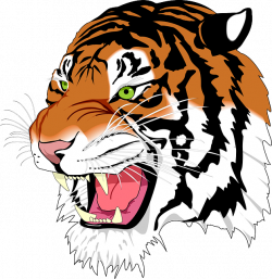 Free Image on Pixabay - Sumatran Tiger, Tiger, Man-Eater | Pinterest ...