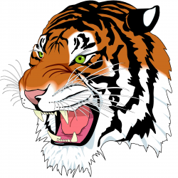 Free Tiger Head Cliparts, Download Free Clip Art, Free Clip ...