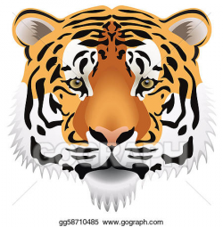 Vector Art - Tiger head. Clipart Drawing gg58710485 - GoGraph