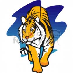 Tiger walking in front of blue background clipart. Royalty-free clipart #  130941