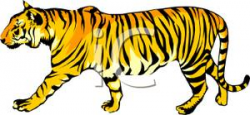 A Bengal Tiger Walking Clipart | Clipart Panda - Free ...