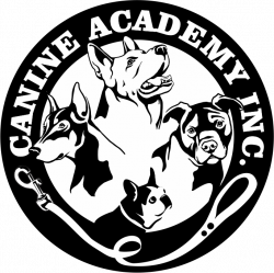 Canine Academy - Daycare & Train