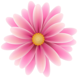 28+ Collection of Pink Clipart Flower | High quality, free cliparts ...