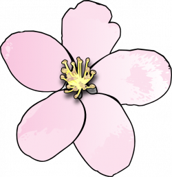 Pink Apple Blossom Clip Art at Clker.com - vector clip art online ...