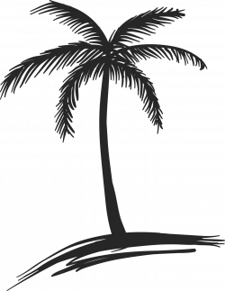28+ Collection of Coconut Tree Drawing Black | High quality, free ...