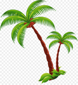 Coconut Tree Cartoon clipart - Coconut, Tree, Plant ...