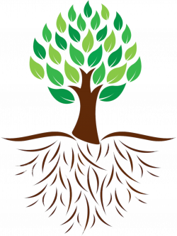 Tree and Roots Colour Illustration transparent PNG - StickPNG