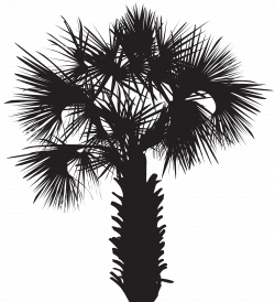 Palm Tree Silhouette Clip Art PNG Image | Gallery Yopriceville ...