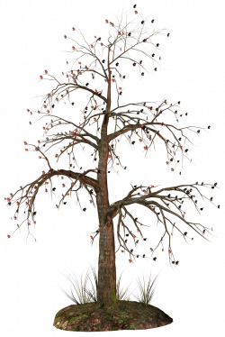 Dead Tree PNG Clipart | Gallery Yopriceville - High-Quality Images ...