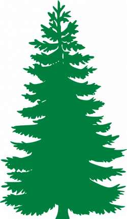 Free Image on Pixabay - Fir, Evergreen, Trees, Silhouette ...