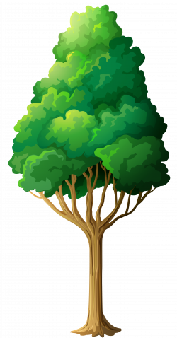 Green Tree PNG Clipart | Gallery Yopriceville - High-Quality Images ...