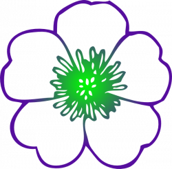 Free Hibiscus Flower Drawings, Download Free Clip Art, Free Clip Art ...