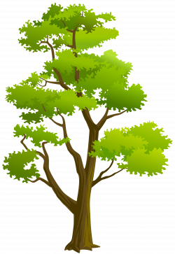 Tree PNG Clip Art | Gallery Yopriceville - High-Quality Images and ...