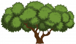 Tree Clip Art PNG Image | Gallery Yopriceville - High-Quality ...
