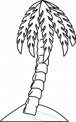 28+ Collection of Narra Tree Clipart Black And White | High quality ...
