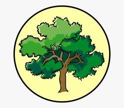 Nature Clipart Graphic Free Collection - Narra Tree Clipart ...