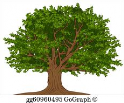 Oak Tree Clip Art - Royalty Free - GoGraph