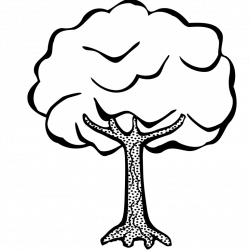 Tree Outline Png Best Of Clipart Lineart - imagenesanimadas.co