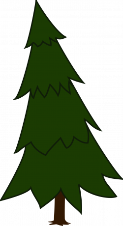 Pine Tree clipart spruce - Pencil and in color pine tree clipart spruce