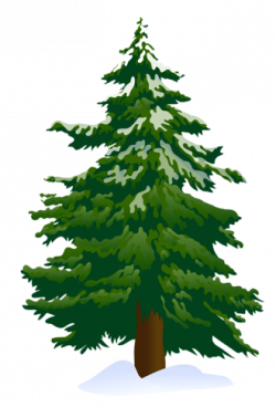 Tree clip art snowy pine tree clipart 4 clipartbold ...