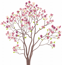 Mmagnolia Tree PNG Clip Art Image | Gallery Yopriceville - High ...