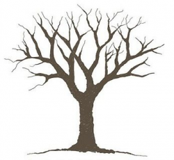 Free Bare Tree Template, Download Free Clip Art, Free Clip ...