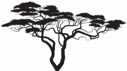 Exotic Tree Silhouette PNG Clip Art Image | Gallery Yopriceville ...